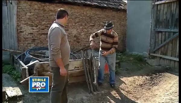 Revolta si neputinta dupa ce o femeie de 38 de ani a fost batuta cu cruzime de mai multi indivizi