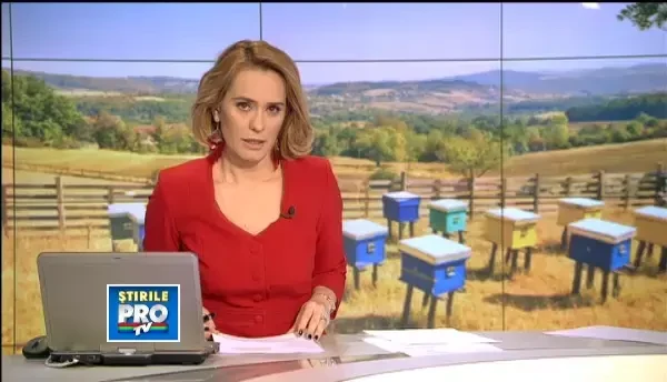 Cum puteti deosebi mierea naturala de cea falsificata.Autoritatile au confiscat peste 16.000 de tone