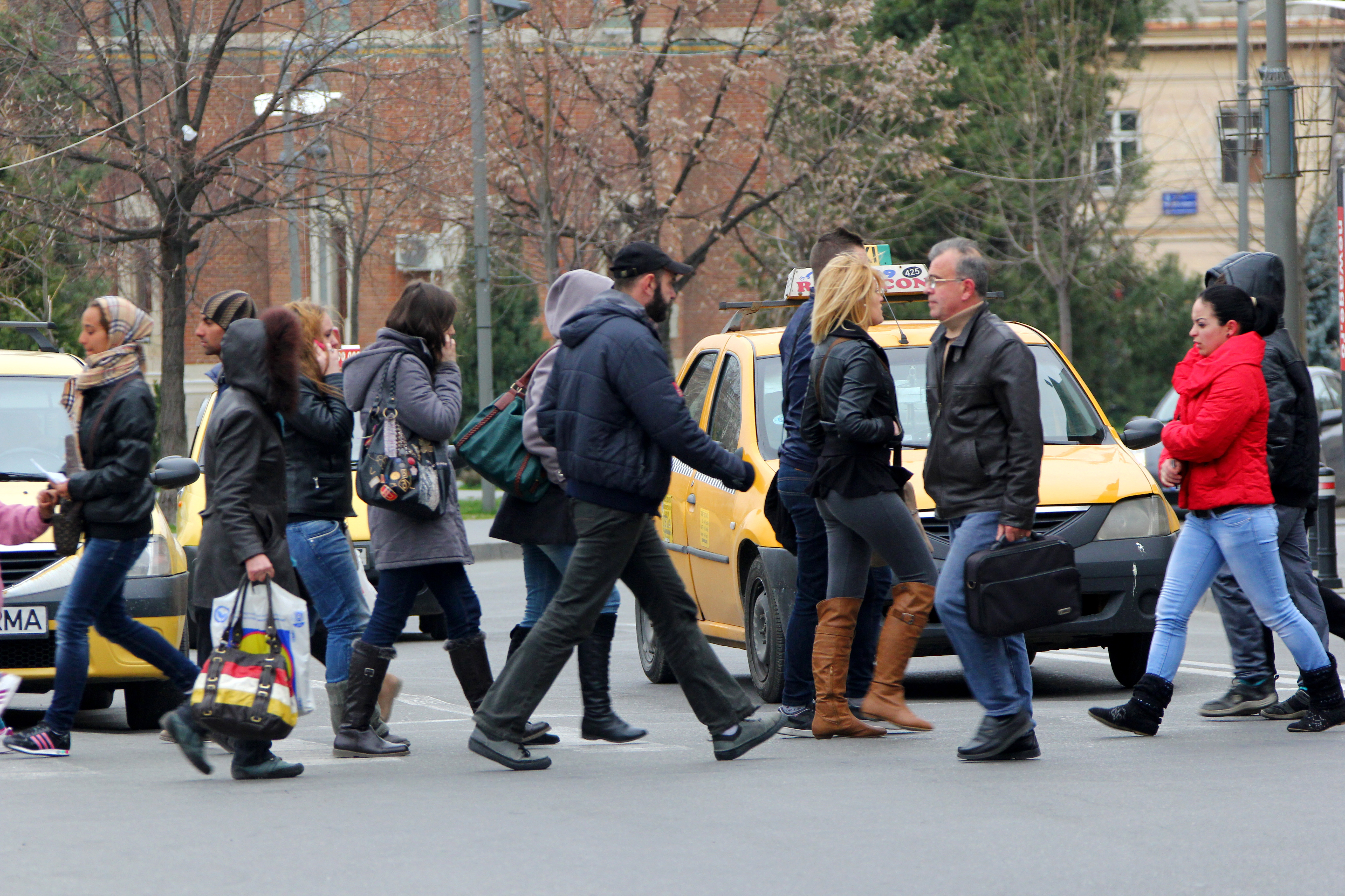 Vant puternic in judetele Timis si Caras-Severin. Ce anunta meteorologii