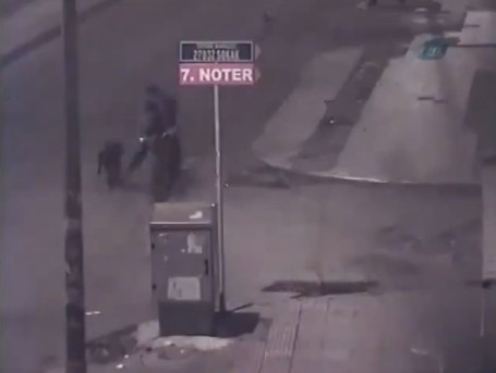 Cu maidanezii pe urmele lui, un biciclist n-a mai fost atent la ce urmeaza. VIDEO