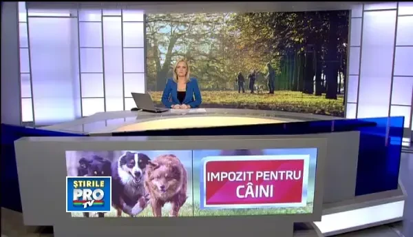 Taxa pe patruped starneste furia iubitorilor de animale. Cat costa sa NU iti sterilizezi cainele