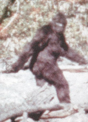 Bigfoot