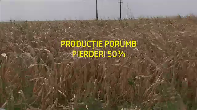Romania cere 1 mld. de euro de la UE pentru salvarea agriculturii. Cat pierdem din lipsa irigatiilor