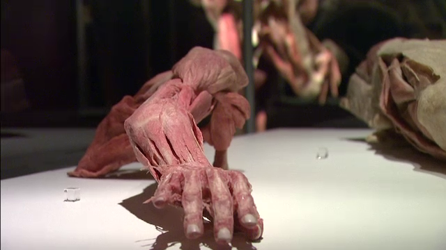 Alarma Pro FM, singurul matinal de radio care transmite in direct de la Expozitia "The Human Body"