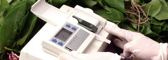 Carne si branza, tinute in canicula intr-o piata din Brasov. Explicatiile comerciantilor in fata inspectorilor OPC