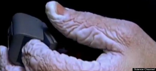 Cum arata mainile unui scafandru dupa ce a stat 10 zile sub apa