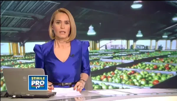 Portretul hotului inteligent facut de Politia Romana. Cum intra in apartamente invitat de victime