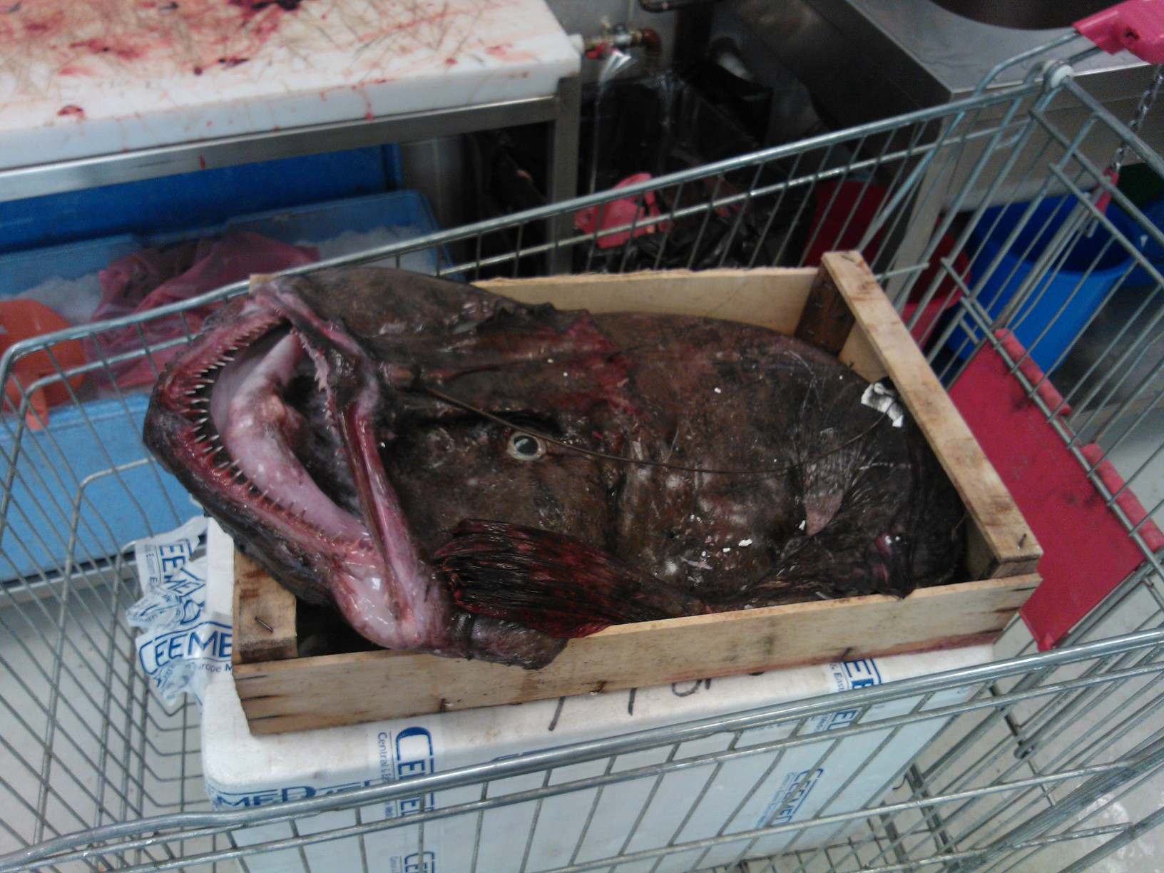 Descoperire surprinzatoare facuta de politistii care au mers in control, in Piata Dorobanti. FOTO