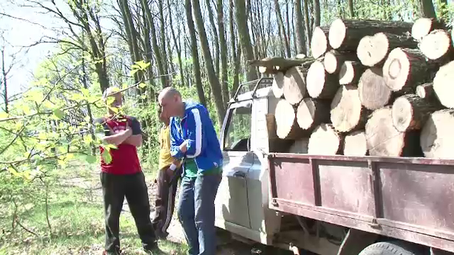 Scandal intr-o padure din Satu Mare. Proprietarul spune ca e jefuit cu complicitatea silvicultorilor