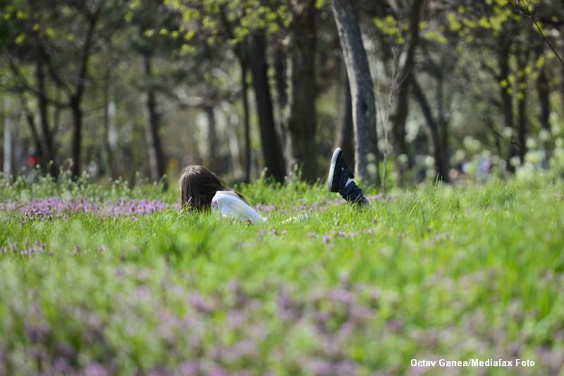 Temperaturile vor creste pana la 23 de grade Celsius, marti. Prognoza meteo pana vineri