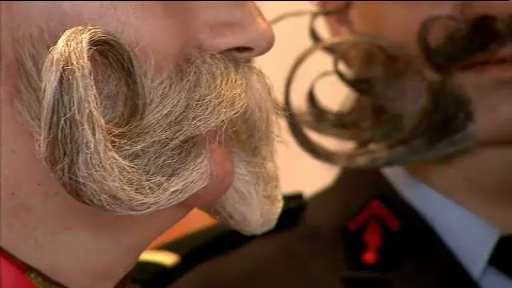 Campionat dedicat parului facial, in Germania. Cum s-au pregatit concurentii pentru competitie