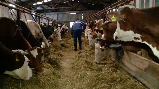 Industria din farfurie, partea II. Bolile pe care ni le poate provoca hrana artificiala