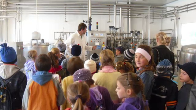 Industria din farfurie, partea a III-a. Unii producatori "uita" sa treaca pe eticheta substantele toxice, care ne pot provoca o moarte lenta