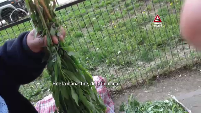 CAMERA ASCUNSA: Cum au strans negustorii ambulanti mii de lei incalcand traditia de Florii