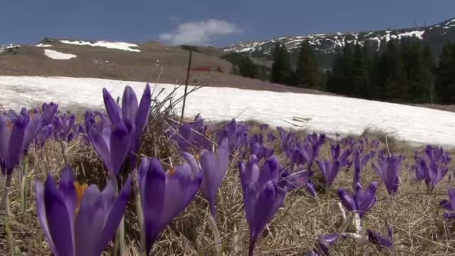 Cat scoatem din buzunar pentru o vacanta in mijlocul naturii, la pensiunile din zona Targoviste