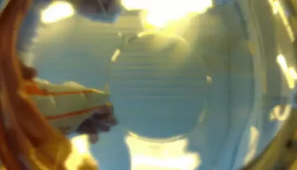 Misterele de pe masa noastra, partea a III-a. Unii producatori uita sa treaca pe eticheta substantele toxice, care ne pot provoca o moarte lenta