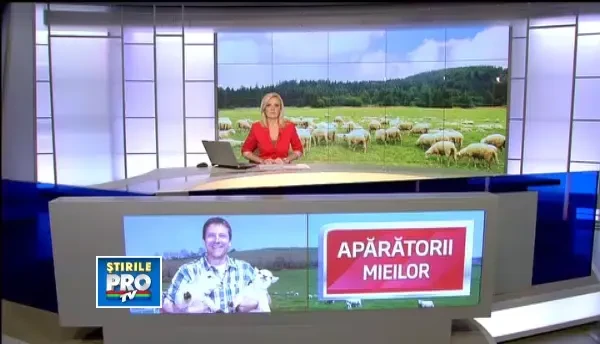 Mai multi tineri au militat impotriva uciderii mieilor de Paste.