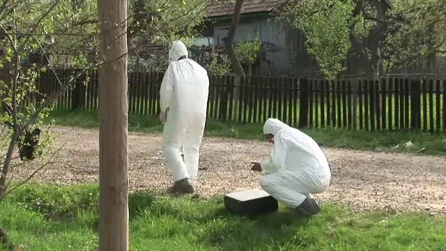 Angajatul unui ocol Silvic din Bistrita-Nasaud a fost gasit spanzurat