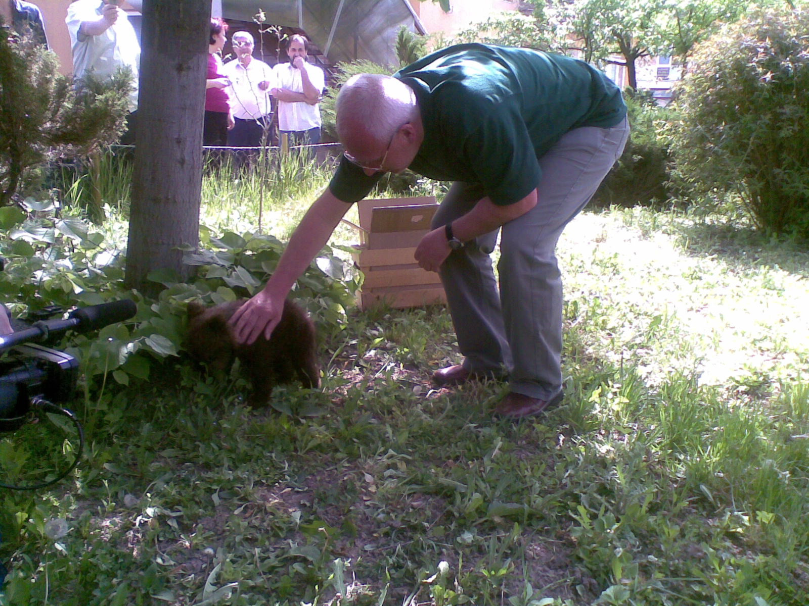 Povestea emotionanta a unui ursulet de numai doua luni care fost salvat de la moarte