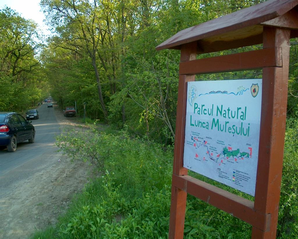 Taxa de 10 lei pentru masini la intrarea in Padurea Ceala. Cum comentati initiativa?