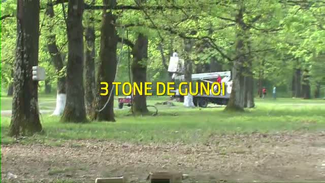 Dezastrul ecologic dupa 1 Mai.Trei tone de gunoi stranse dintr-un singur loc: o padure din Targu Jiu