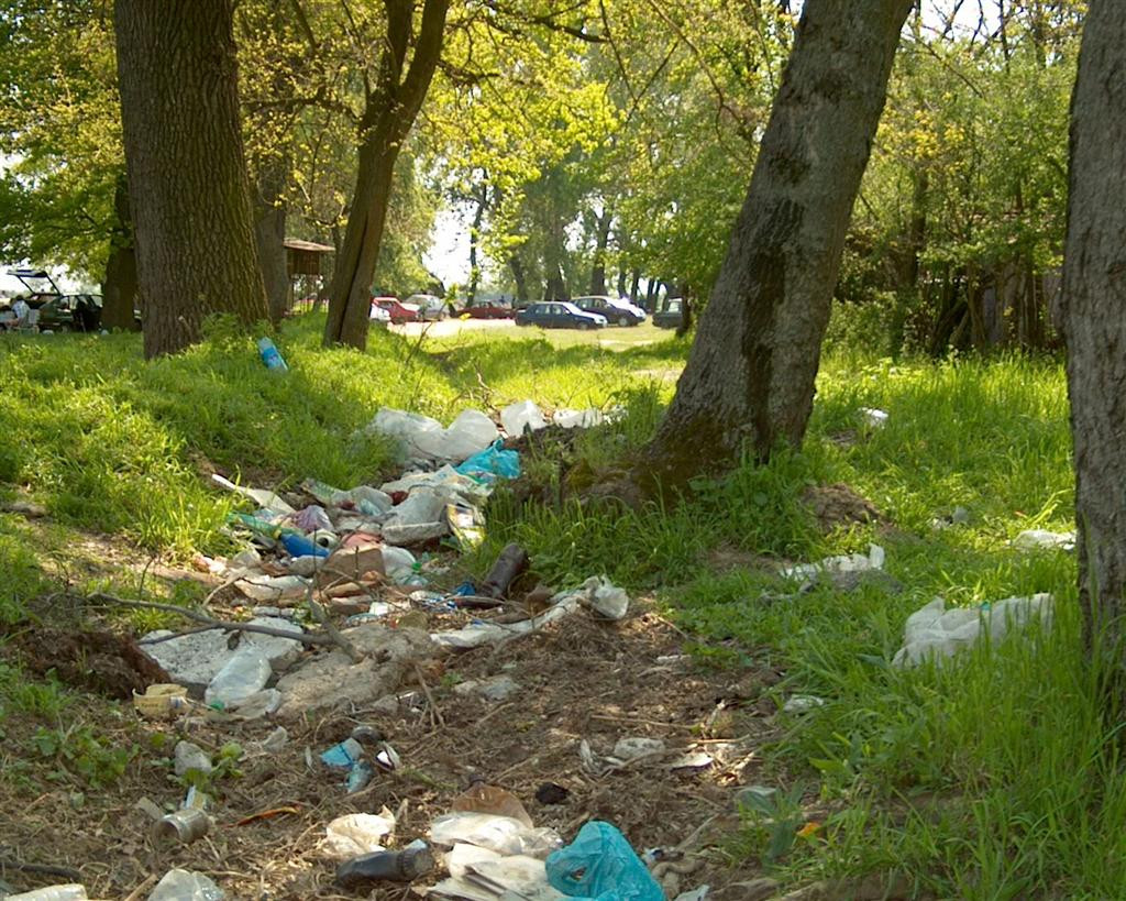 Cercetasii si voluntarii, chemati sa adune gunoaiele ramase in padure dupa distractia de 1 Mai