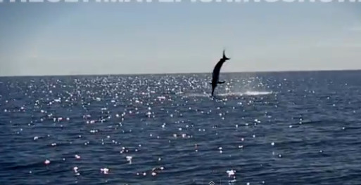 Credea ca tocmai a prins un peste de 270 de kilograme, insa a avut parte de o surpriza uriasa. VIDEO