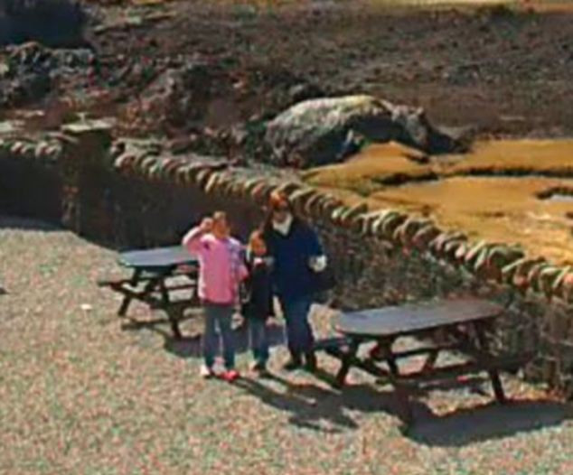 "Mi-au dat lacrimile cand i-am vazut". Imaginea suprinsa de un american aflat in Afganistan. FOTO