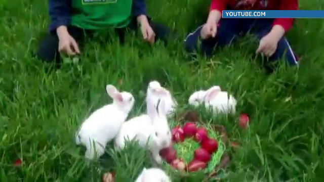 Traditia darurilor Iepurasului de Paste. Cum a fost "adoptat" de romani un obicei venit din Vest