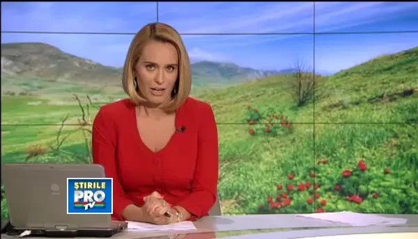 Sarbatoare in Mures. Au inflorit bujorii de stepa, unici in Europa