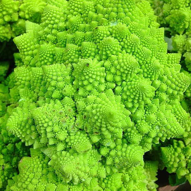 Romanesco