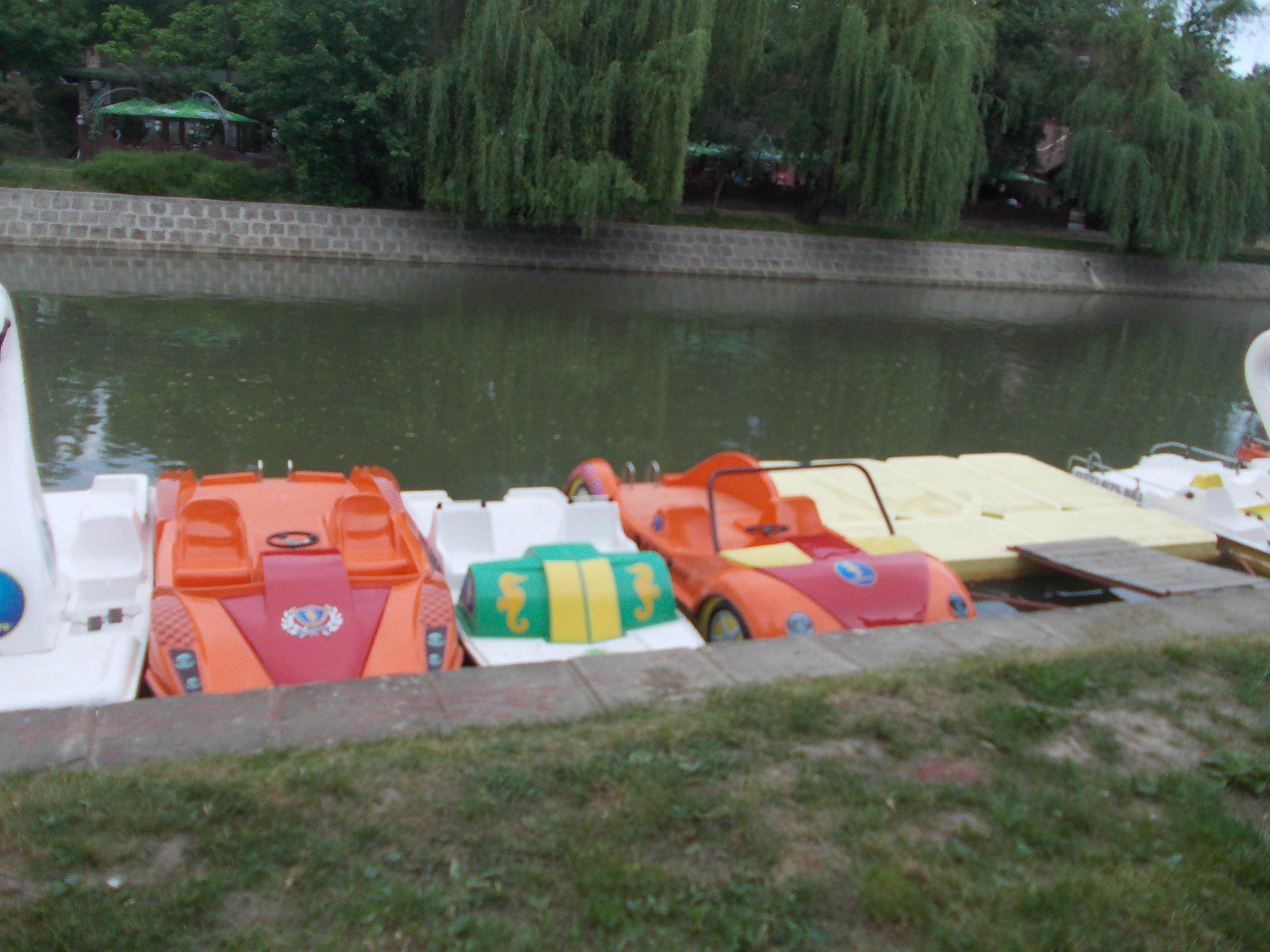 Cu taxiul pe apa sau cu balonul printre nori. Cum iti poti petrece timpul liber la Timisoara