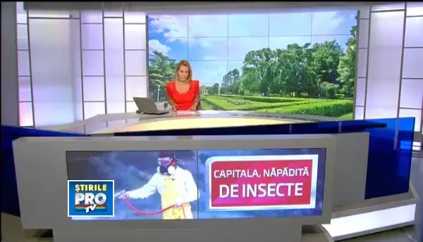 Pericolul din parcuri. Lista bolilor transmise de capuse, tantari si muste: avertismentul medicilor