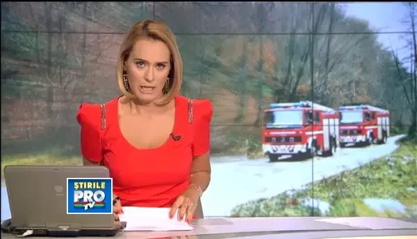 Cabana din padurea Snagov cuprinsa de flacari este fosta