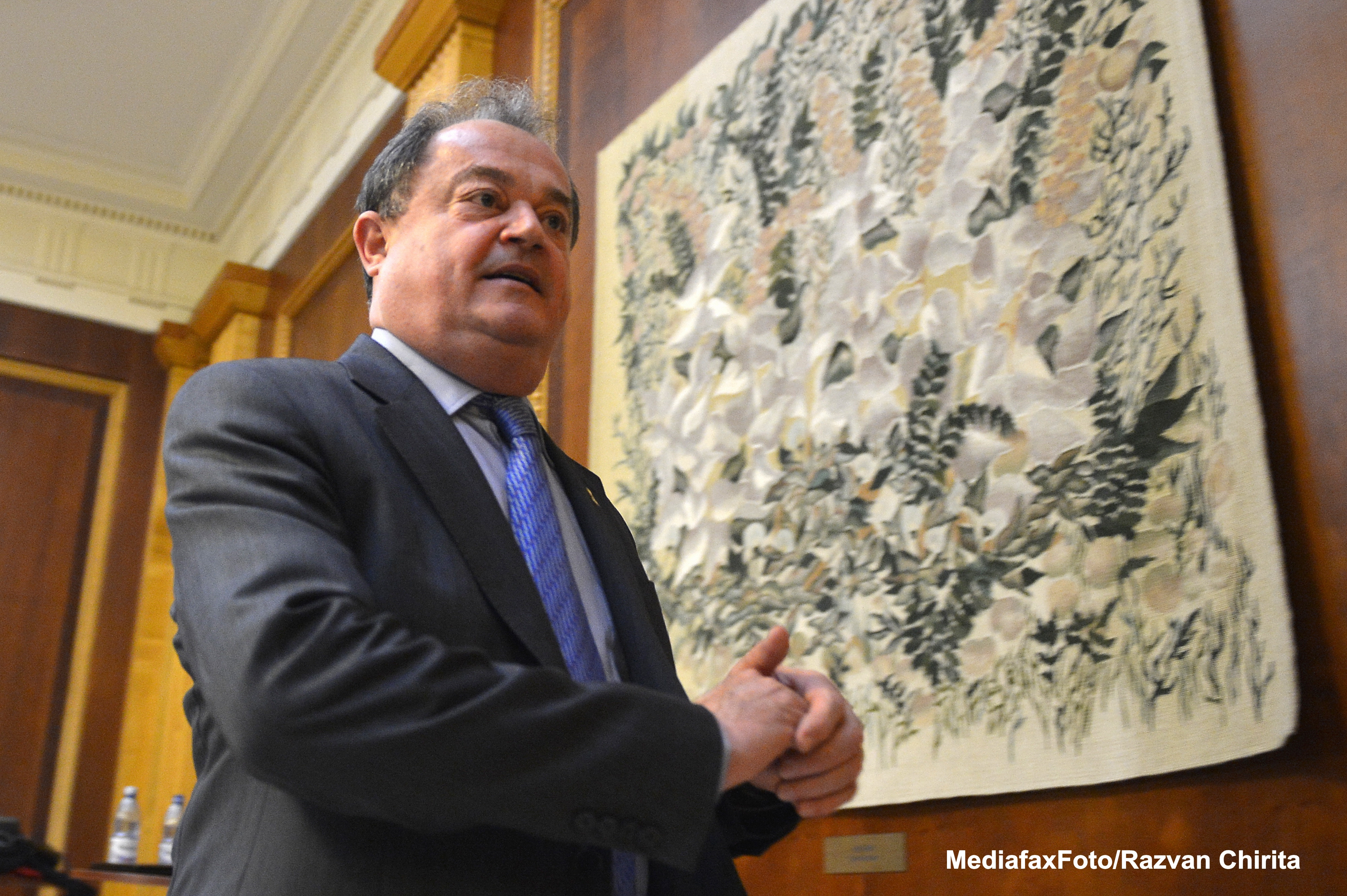 Vasile Blaga: PDL va accepta varianta USL de regionalizare daca respecta principiile europene