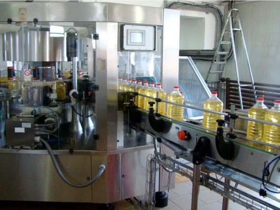 Productia unuia dintre cele mai folosite alimente din lume, in pericol