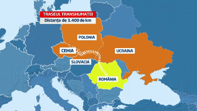 Calatoria istorica a doi ciobani romani. Vor strabate 1400 km pentru a reinvia un obicei de 300 ani