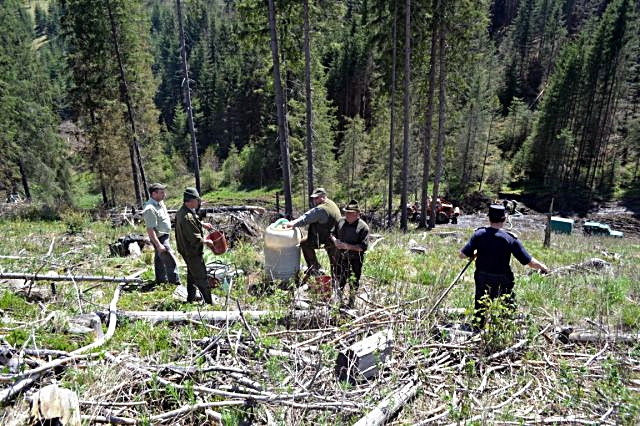 Incendiul de padure din Dornisoara, care a izbucnit vineri, a fost localizat