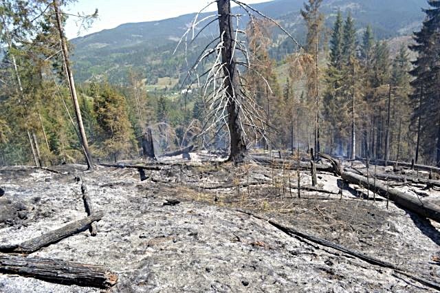 Incendiu in Suceava