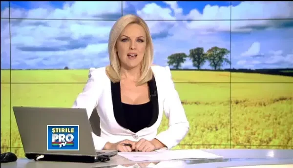 Agricultorii care s-au orientat catre culturile de rapita au de ce sa fie multumiti