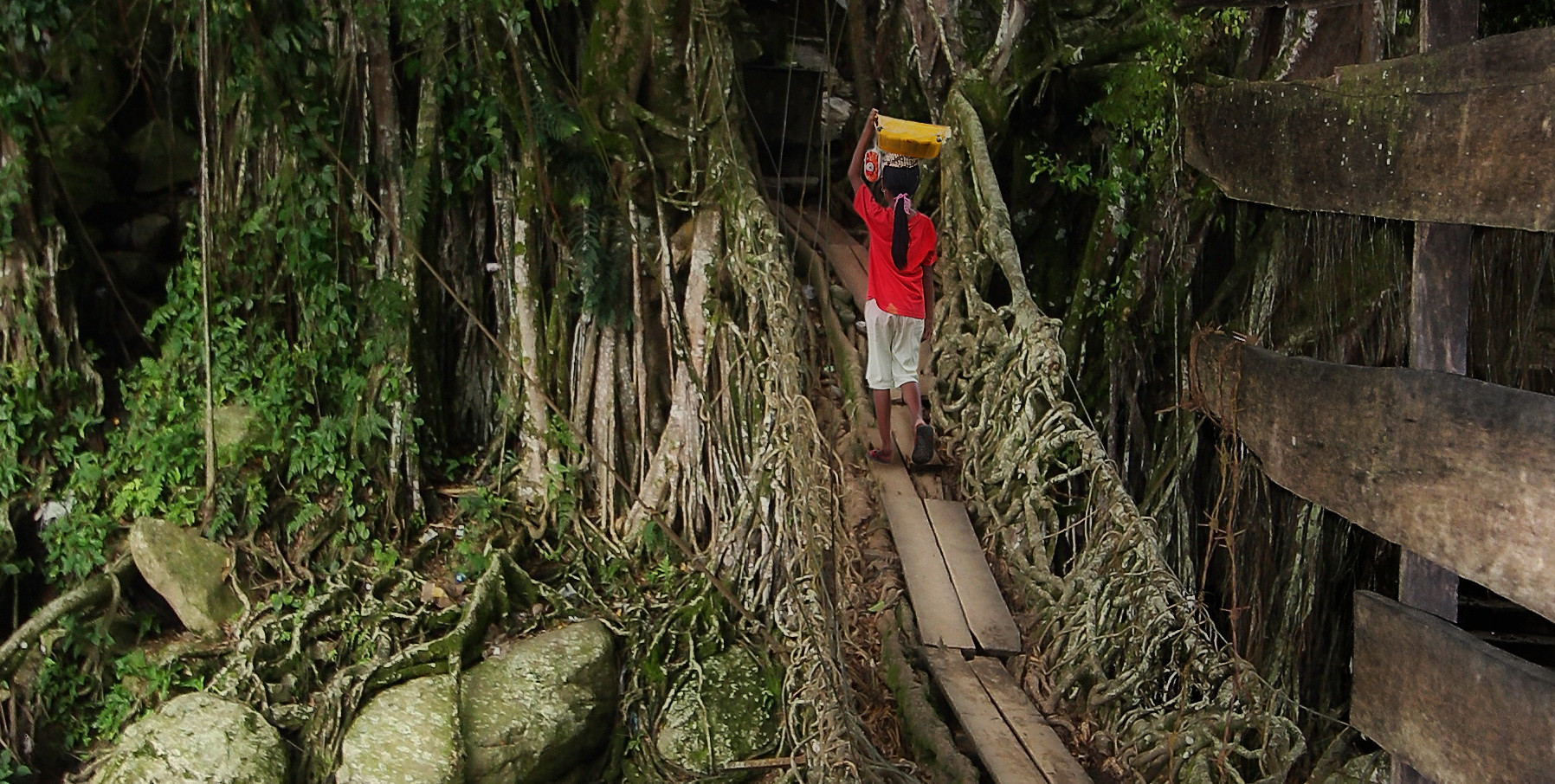 Imagini spectaculoase cu "podul viu" din Indonezia, construit in 26 de ani: e unic in lume