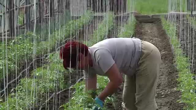 Preotii vor tine predica satenilor despre cum sa faca agricultura eficient, cu fonduri europene