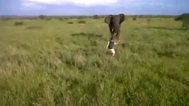 Fotografia pentru care un barbat a platit cu viata, in vacanta. Turistii au strigat degeaba spre el