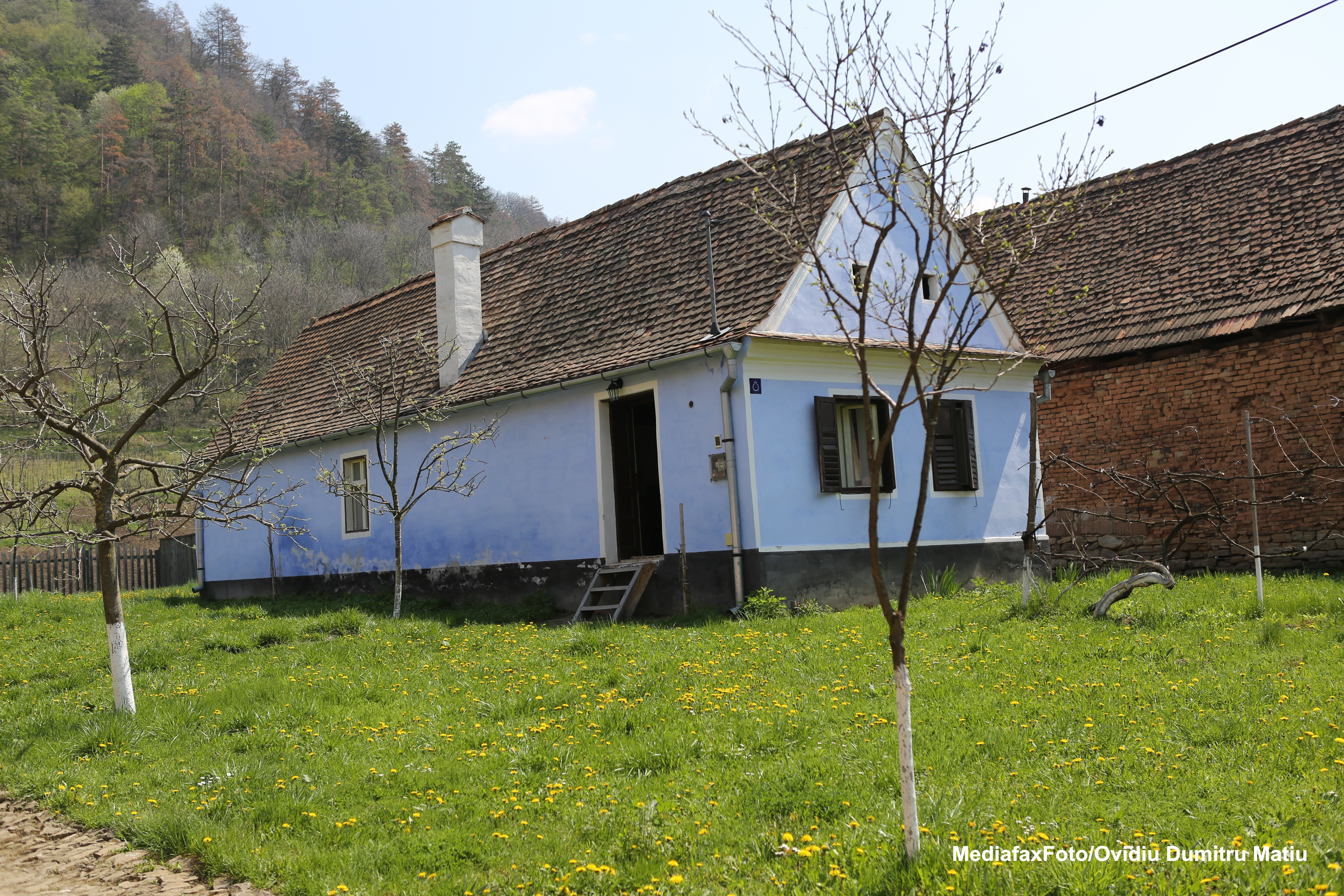 Conacul Apafi din Malancrav - 3