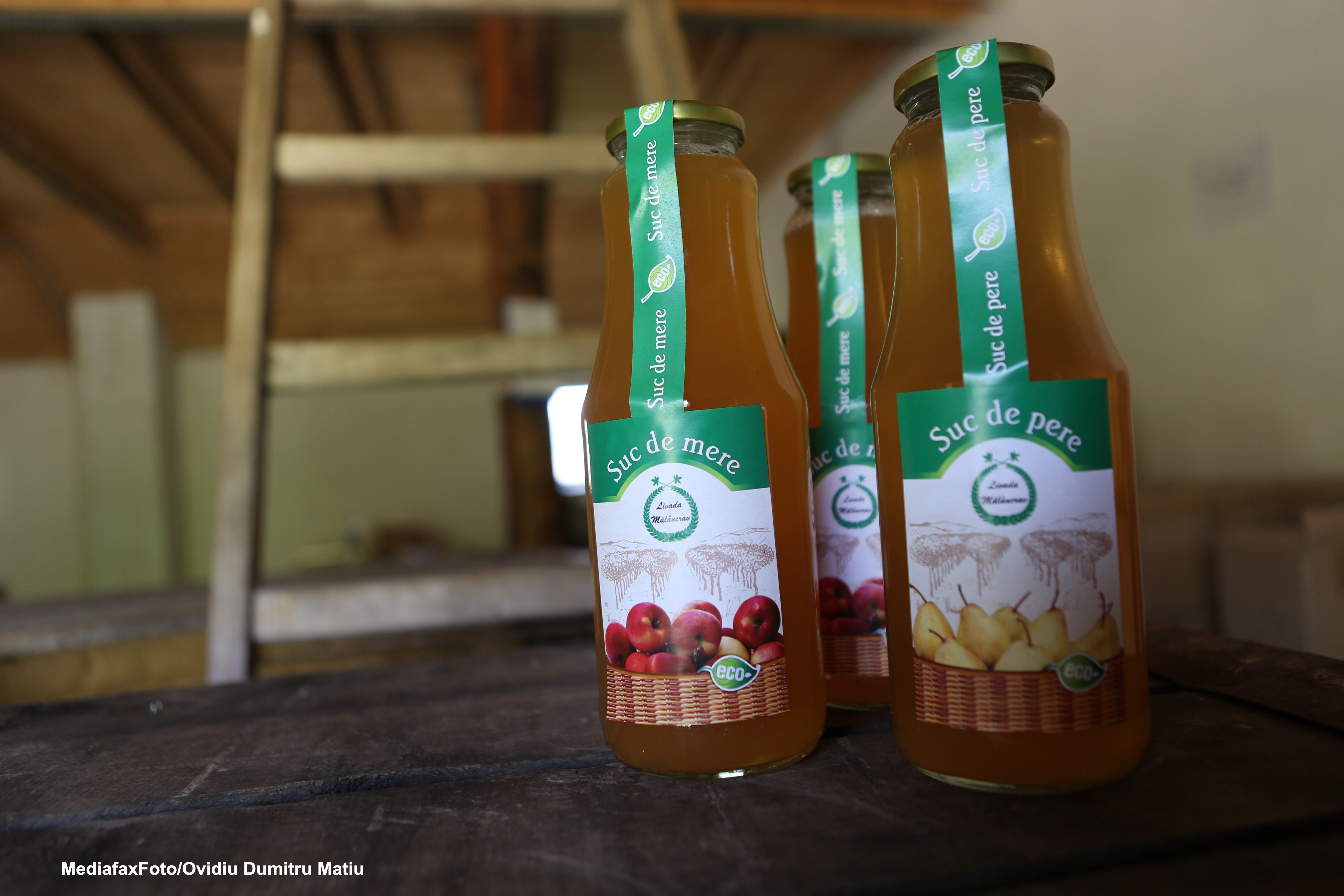 Conacul Apafi din Malancrav - 5