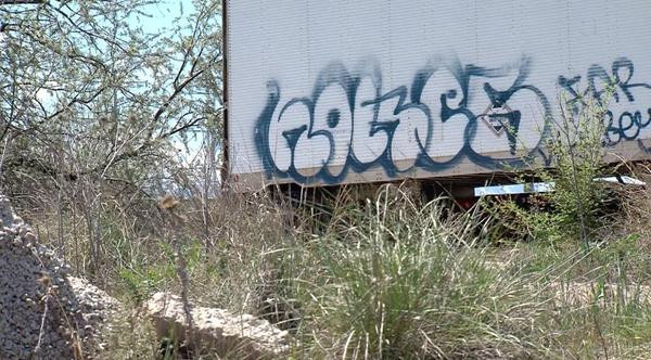 Proprietarii de cladiri din Timisoara, amendati daca nu sterg urmele de vandalism