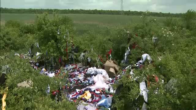 Padurea Snagov, sufocata tot mai mult de gunoaie. Autoritatile sunt incapabile sa ia masuri