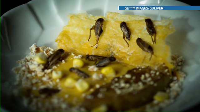 Consumul de insecte, posibila solutie impotriva obezitatii si foametei. Care sunt recomandarile ONU