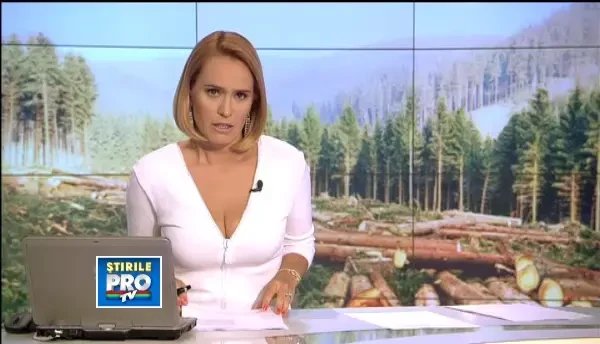 Doi preoti, suspectati ca au sustinut o grupare care defrisa ilegal paduri. 30 de persoane audiate