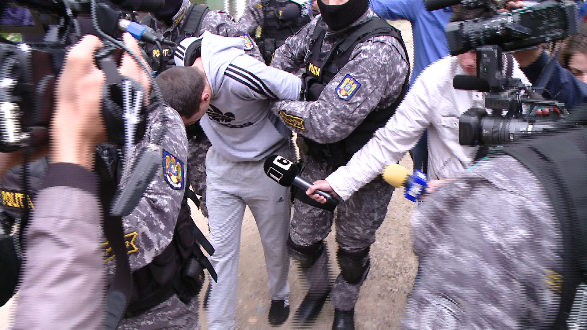 Perchezitii la spargatorii de locuinte din Timisoara. Ce au gasit politistii in casele suspectilor